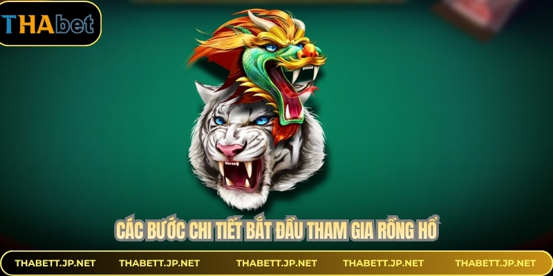 Các bước chi tiết bắt đầu tham gia rồng hổ