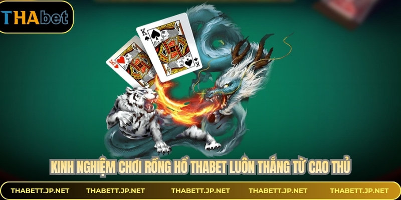 Kinh nghiệm chơi rồng hổ THABET luôn thắng từ cao thủ